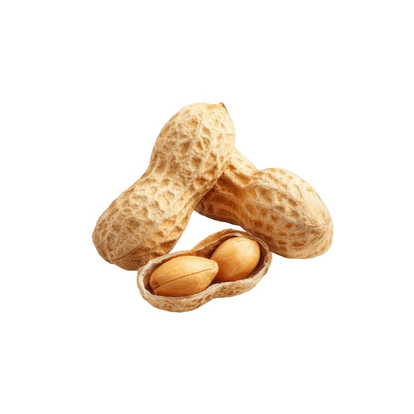 ARACHIDE 500 GR
