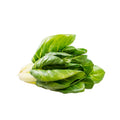 BIETA DA COSTA 1 KG