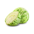 CAV. CAPPUCCIO TONDO 1 KG