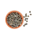 CAPPERI SOTTO SALE SFUSI 100 GR