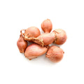 CIPOLLA SCALOGNO 100 GR