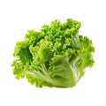 INSALATA GENTILE 1 PZ 250 GR +