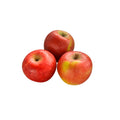 MELA CRIMSON CRISP