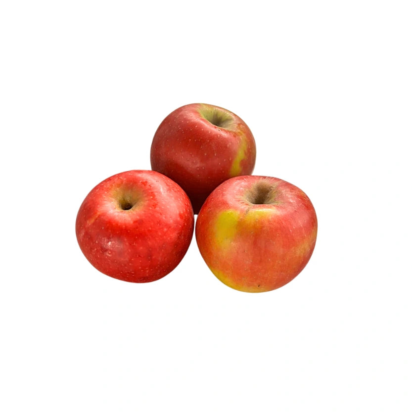 MELA CRIMSON CRISP