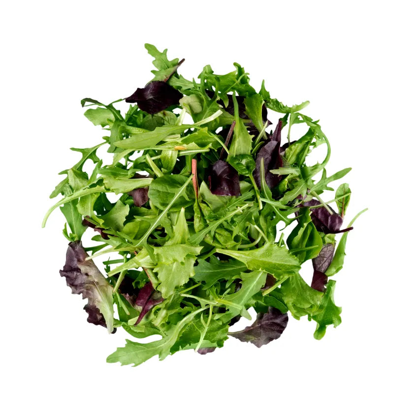MISTICANZA BUSTA 100 GR