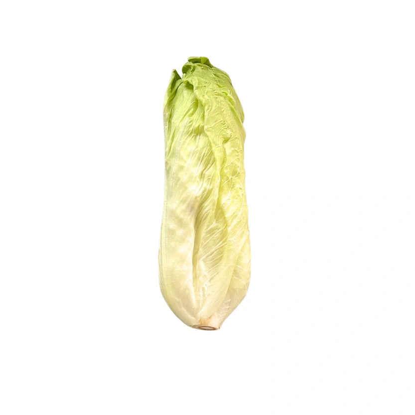 RADICCHIO PAN DI ZUCCHERO 500 GR