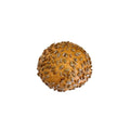 PANINO DI FARRO CON SEMI DI GIRASOLE 85GR
