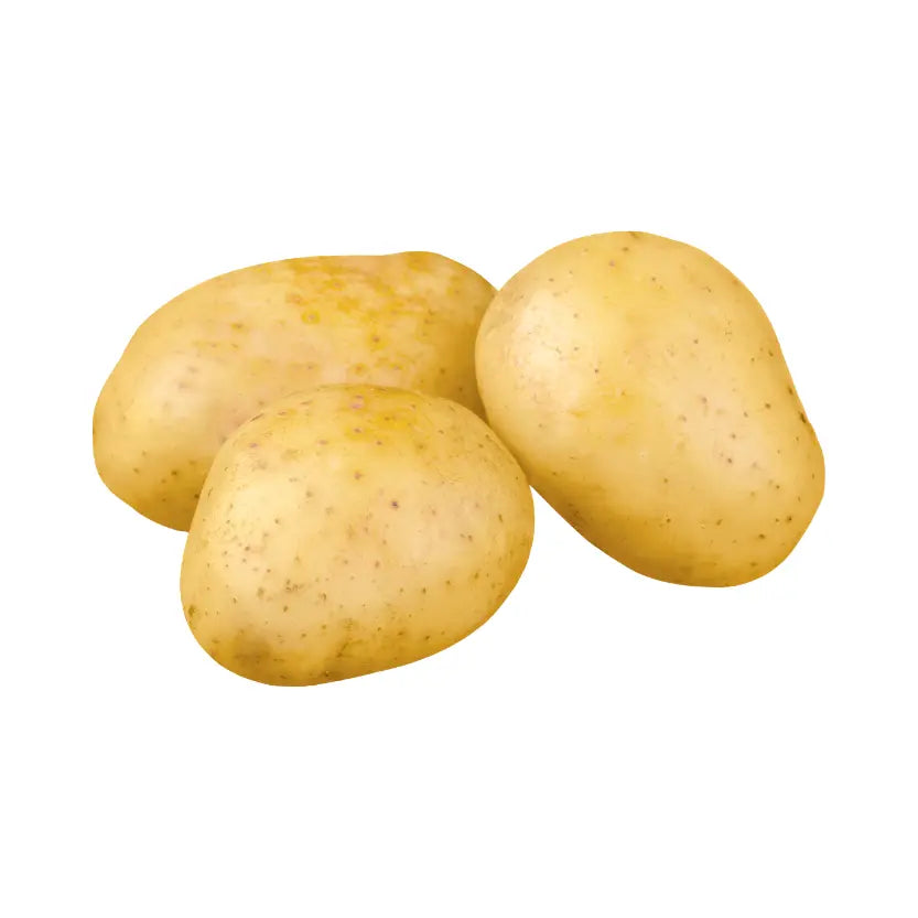 PATATA GIALLA TRENTINO