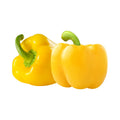 PEPERONE GIALLO 500 GR