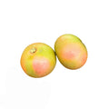 POMPELMO ROSA