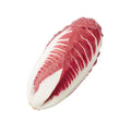 RADICCHIO LUNGO ROSSO