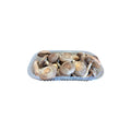 FUNGO SHIITAKE