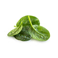 SPINACINA BUSTA 100 GR