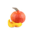 ZUCCA HOKKAIDO