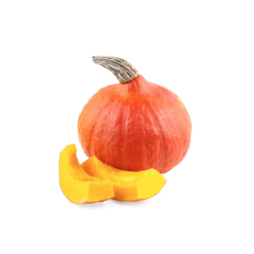 ZUCCA HOKKAIDO