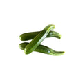 ZUCCHINA BABY 1 PZ 200 GR